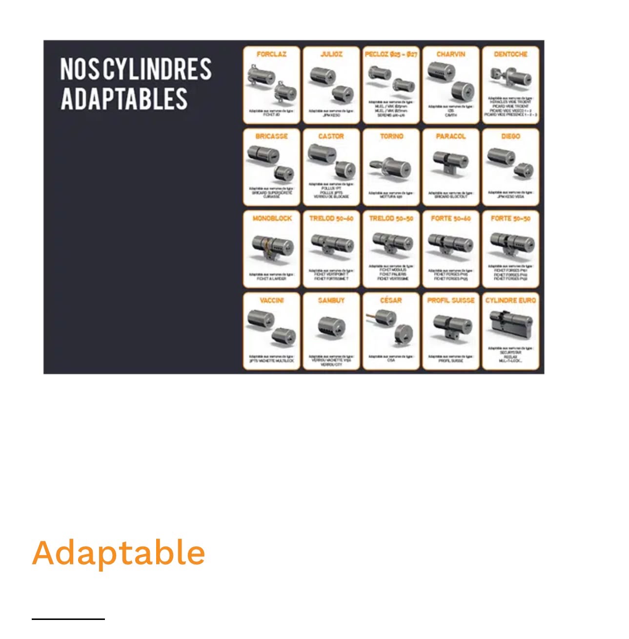 Gamme complète des cylindres adaptables : Forclaz, Julioz, Pecloz, Charvin, Dentoche, Bricasse, Castor, Torino, Paracol, Diego, Monoblock, Trelod, Forte, Vaccini, Sambuy, César, Profil Suisse et Cylindre Euro